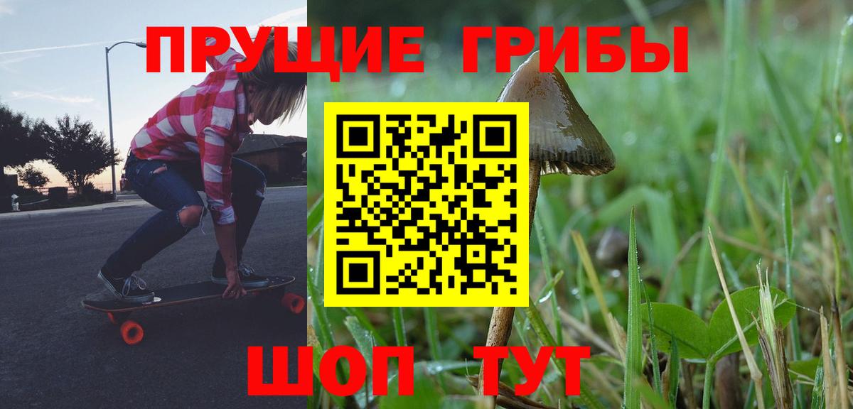 Тобольск  Галлюциногенные грибы Psilocybine cubensis  Галлюциногенные грибы Cubensis  Вход с VPN 