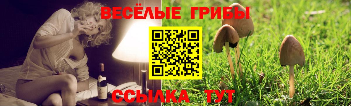 Псилоцибиновые грибы GOLDEN TEACHER Тобольск